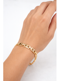 ÇELİK BİLEKLİK C-LİNK GOLD 14K VIP SERISI ÇELİK BİLEKLİK C-LİNK GOLD 14K VIP SERISI